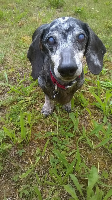 [Image: Cric-yeux.jpg]