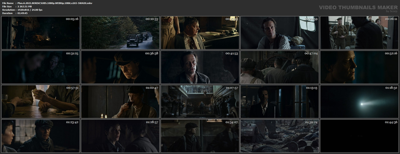 Plan.A.2021.NORDiCSUBS.1080p.WEBRip.10Bit.x265-SWAXX.mkv