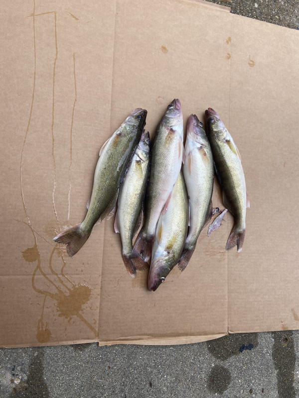 0F5613AD-968C-4B26-9CD0-F05EF0B14DF5