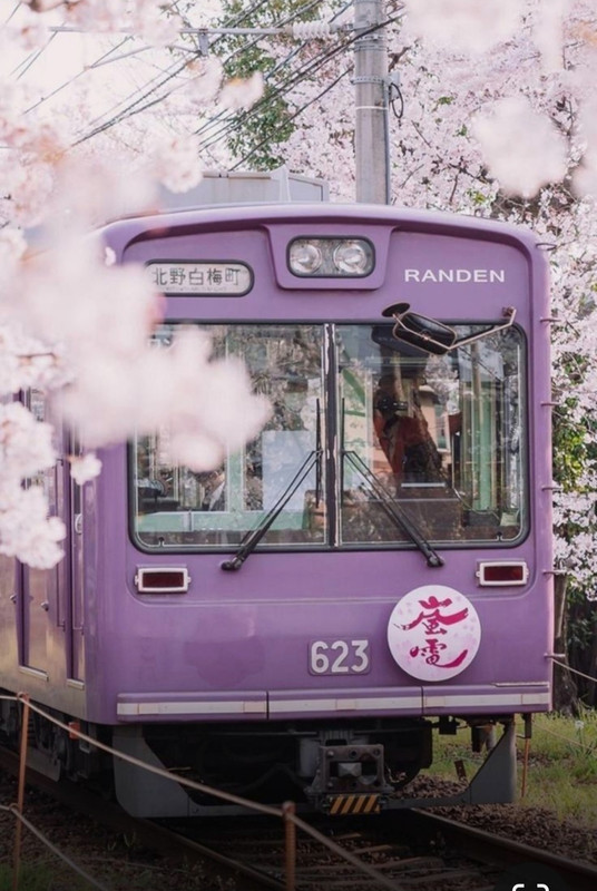 Screenshot_20240331_165452_Pinterest