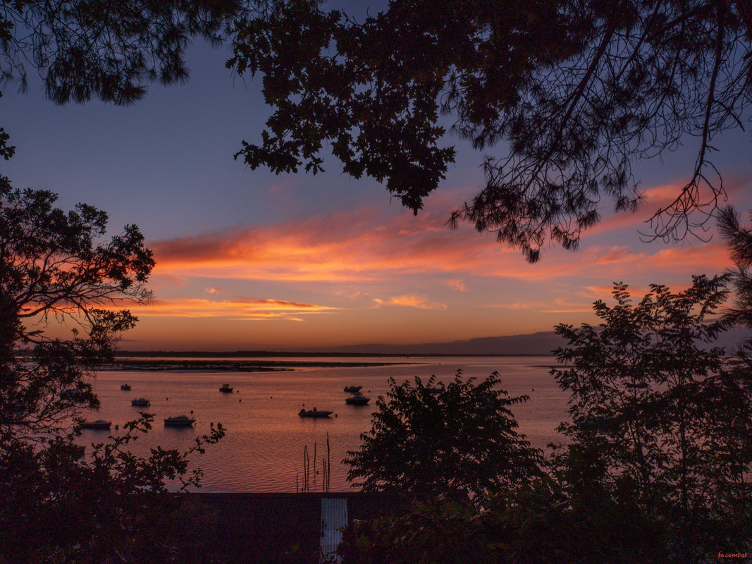 [Image: 43005100-285517005506151-8731576110841593856-o.jpg]