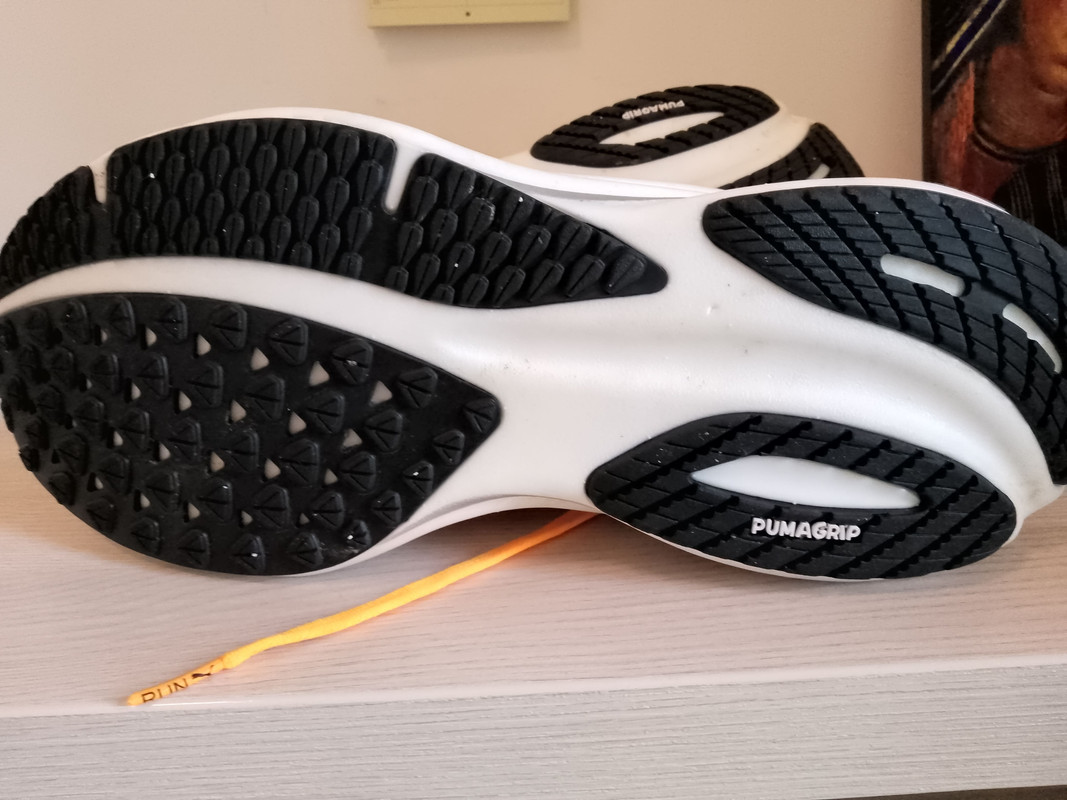 IMG_20250216_134503_HDR