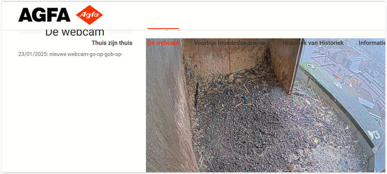 Screen Shot 01-25-25 at 09.04 AM