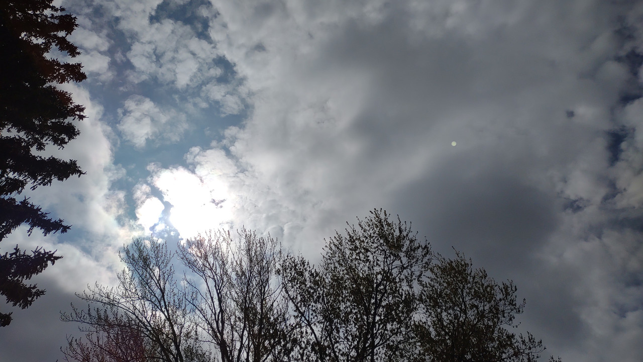 IMG_20250502_105714121