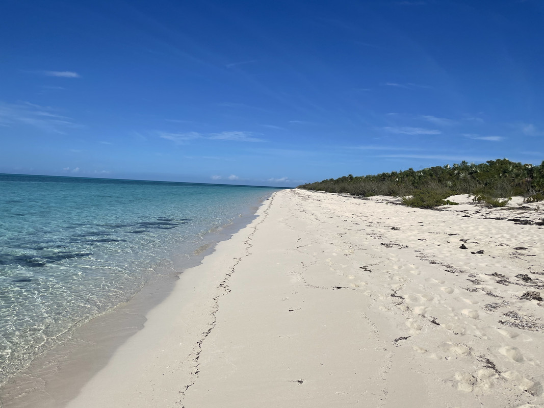 775D1F92-38C6-4EEC-A326-39B598AA48E8