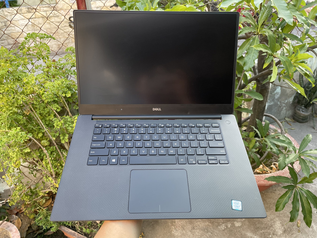 z4711093768363_3981f88b905f8d927b1bfa19e5d78a93