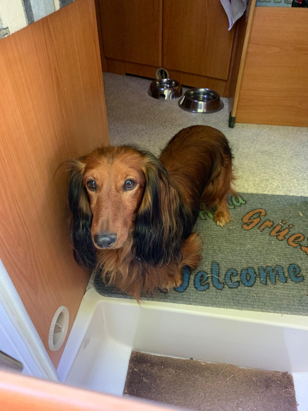 [Image: IMG-20220716-WA0001.jpg]