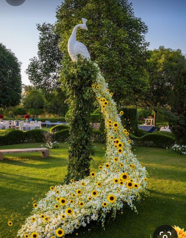 Screenshot_20240508_225545_Pinterest