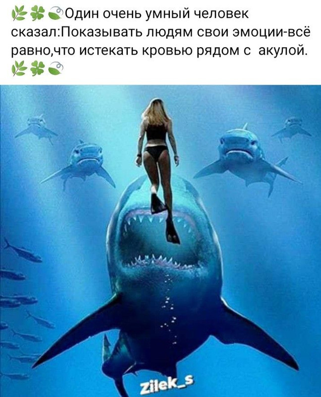 [Изображение: 3739a9d3ba07e4fa9f15b213c413482f.jpg]