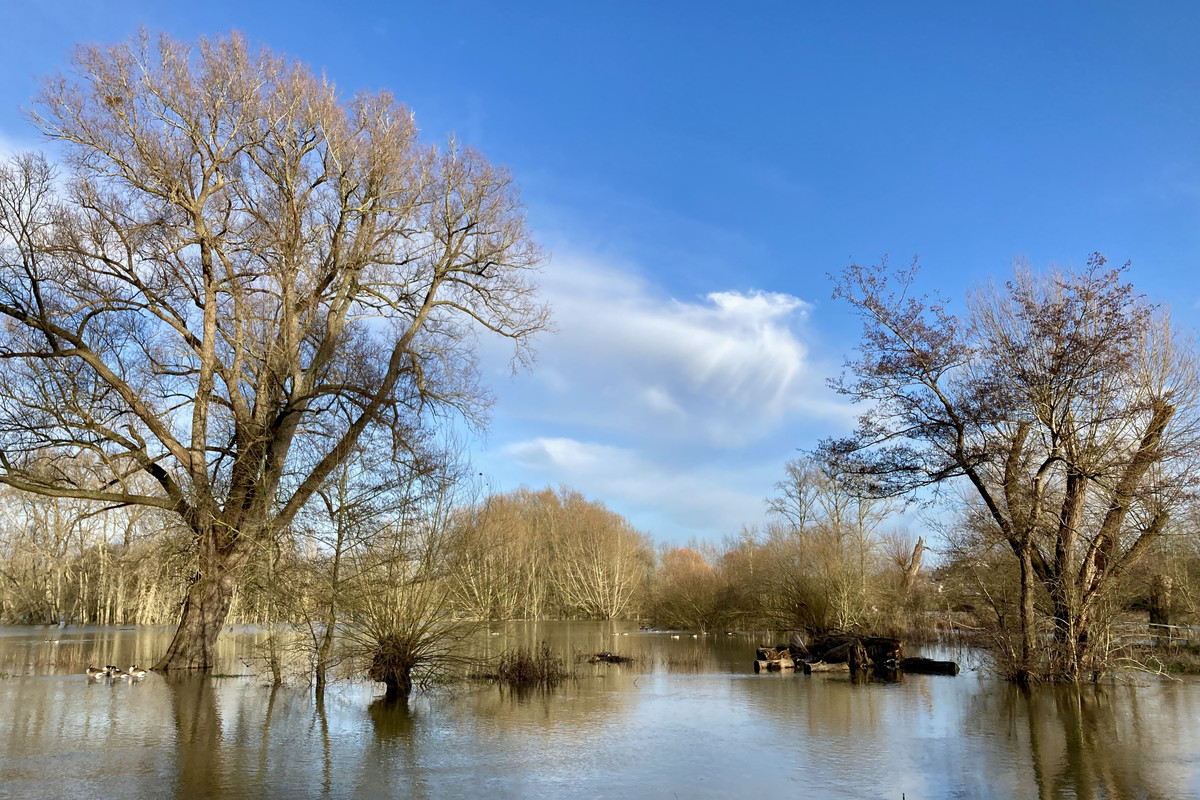 B3972E53-7D32-4F2D-8C58-5CFF49DA48B8