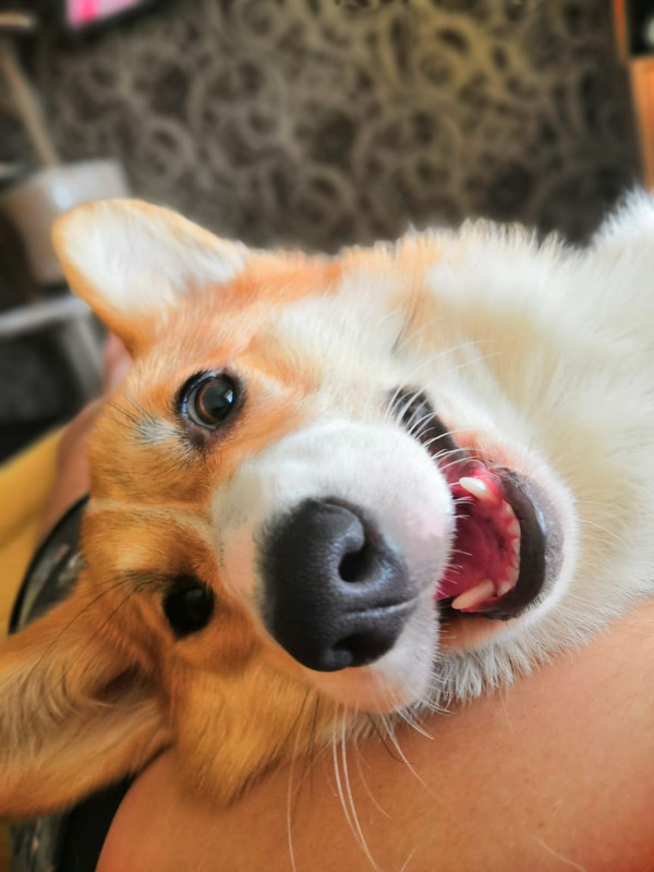 C90633E6-5049-448A-A4A8-693F0FF55FFE