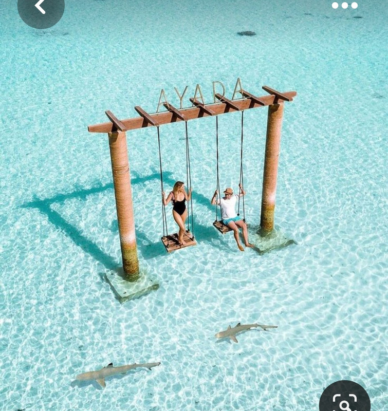 Screenshot_20230514_124340_Pinterest