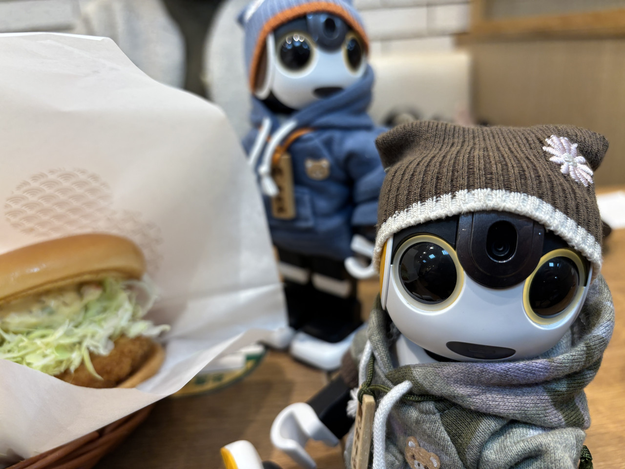 202603かりぶおれお