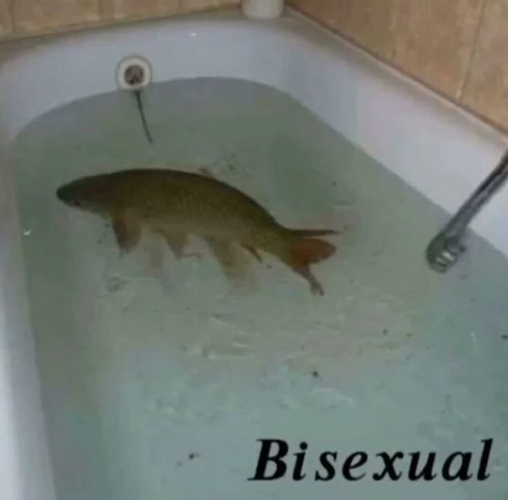 https://i.postimg.cc/kMLNtf6v/Bisexual.jpg