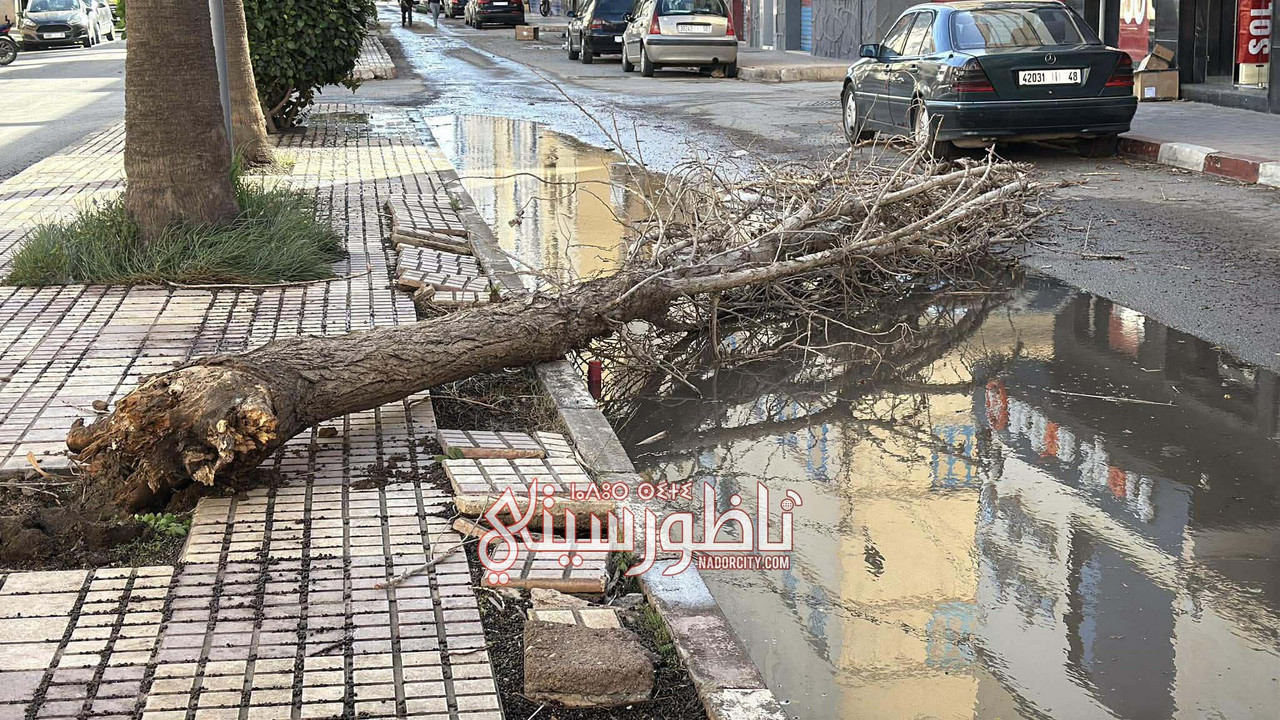 590146347-1859696751345591-7595718459478270388-n