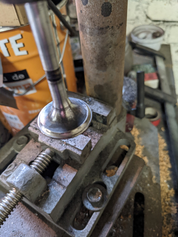 PXL_20221126_135532260