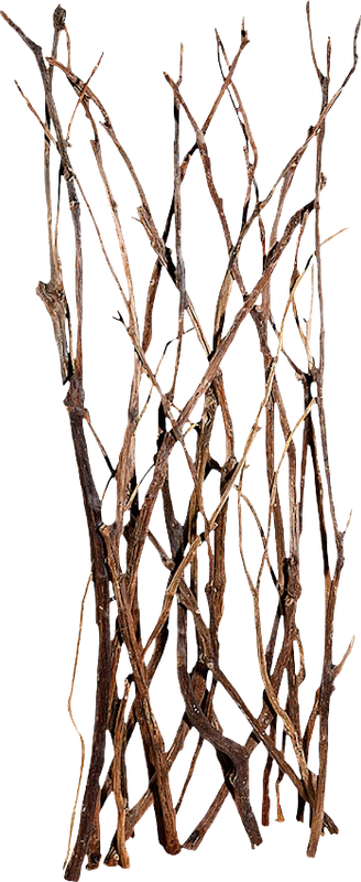 Autumn Witchery (143)