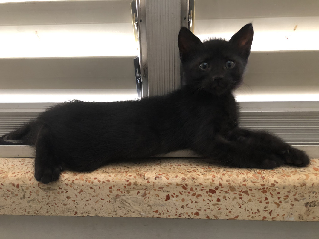 C09739A7-5EED-454F-AF35-2DD9C64AC10E