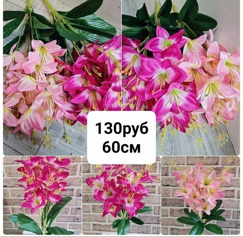 https://i.postimg.cc/kMN4mwJk/IMG-20240409-073640.jpg