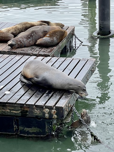 [Linked Image from i.postimg.cc]