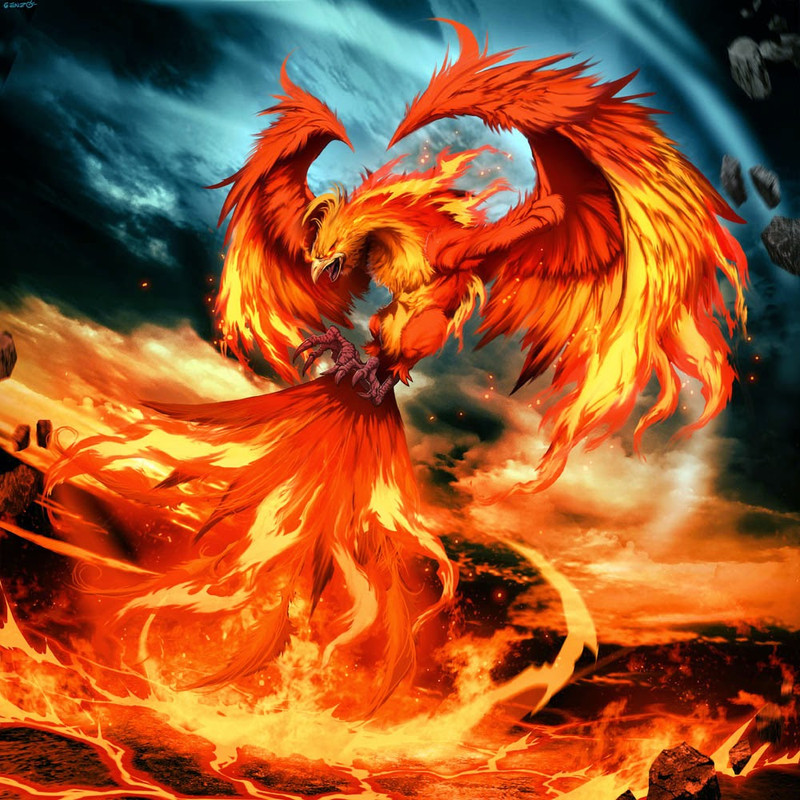 https://i.postimg.cc/kMNPHVv6/000266-phoenix-by-genzoman-d3cqnzj.jpg