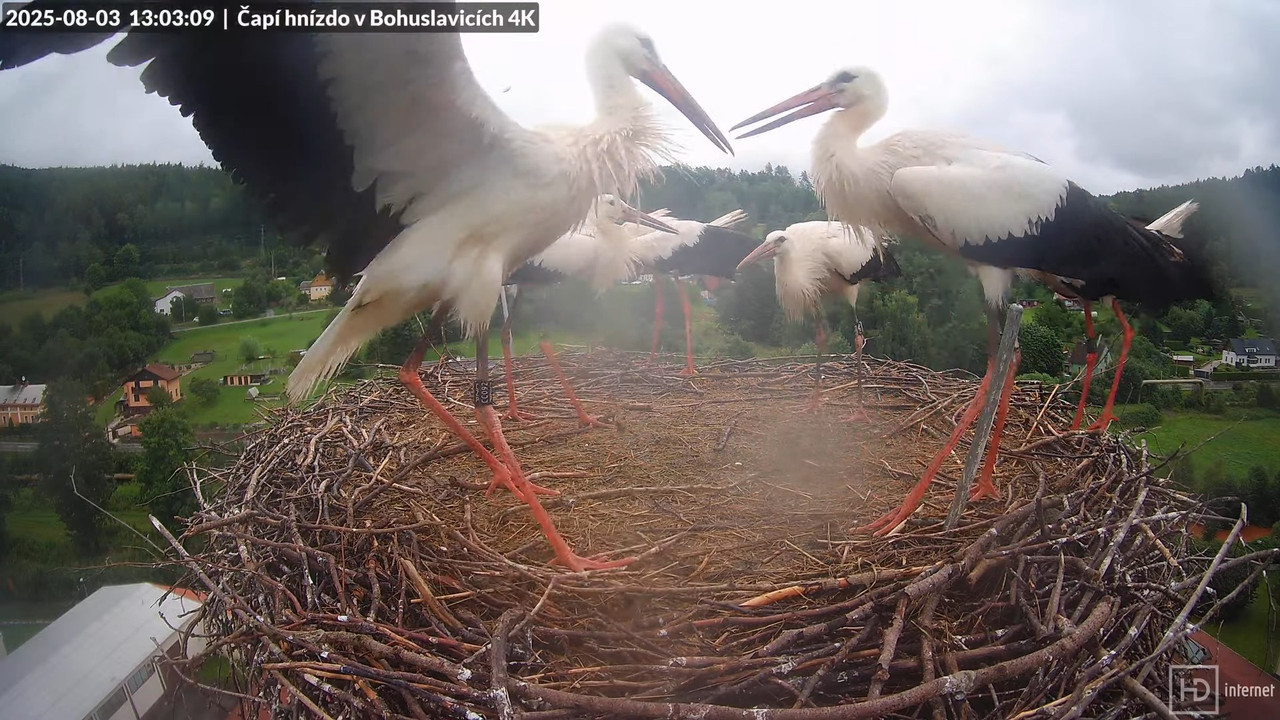Tiešraide no KARA uzņēmuma stārķu skursteņa Bohuslavicē netālu no Trutnovas 17-44-52 screenshot