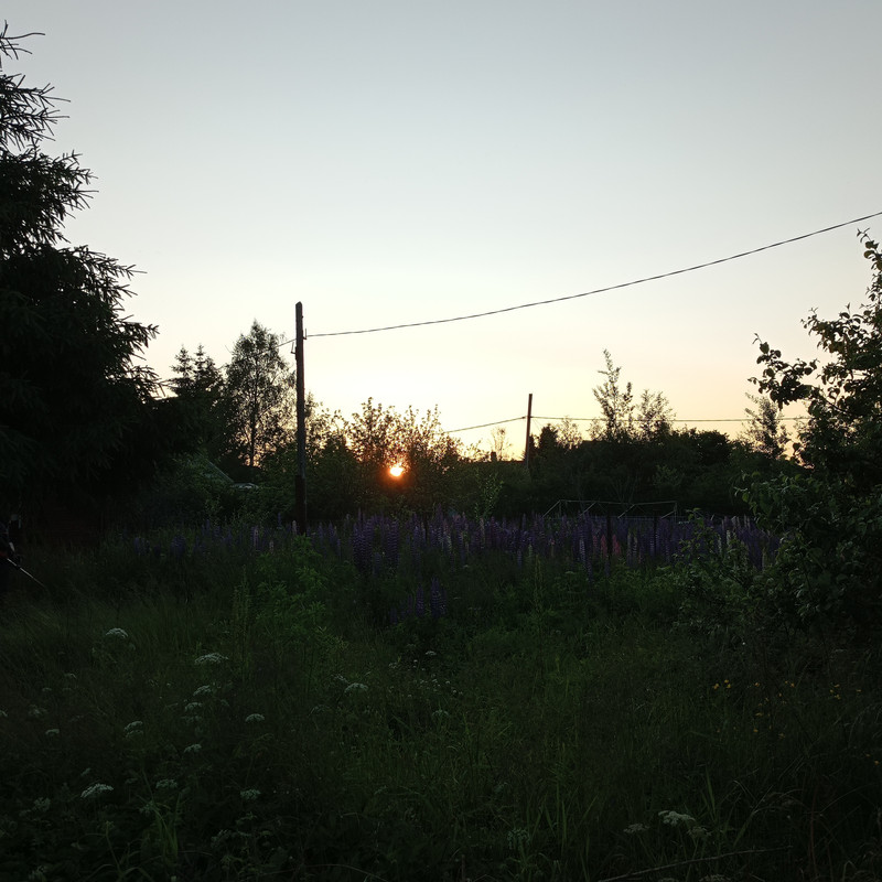 https://i.postimg.cc/kMNgp4dm/IMG-20250620-214258.jpg