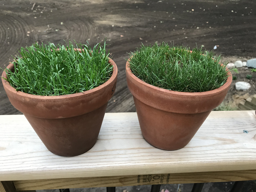 8D3E2FB1-0DDA-4F71-9790-577281FA5518