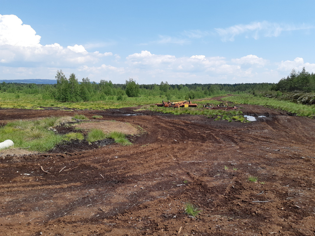 04.15 - 20180601_115812 (PiTT)