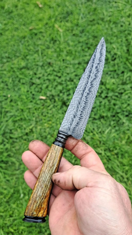 WhatsApp Image 2024-09-13 at 20.52.14 (1)