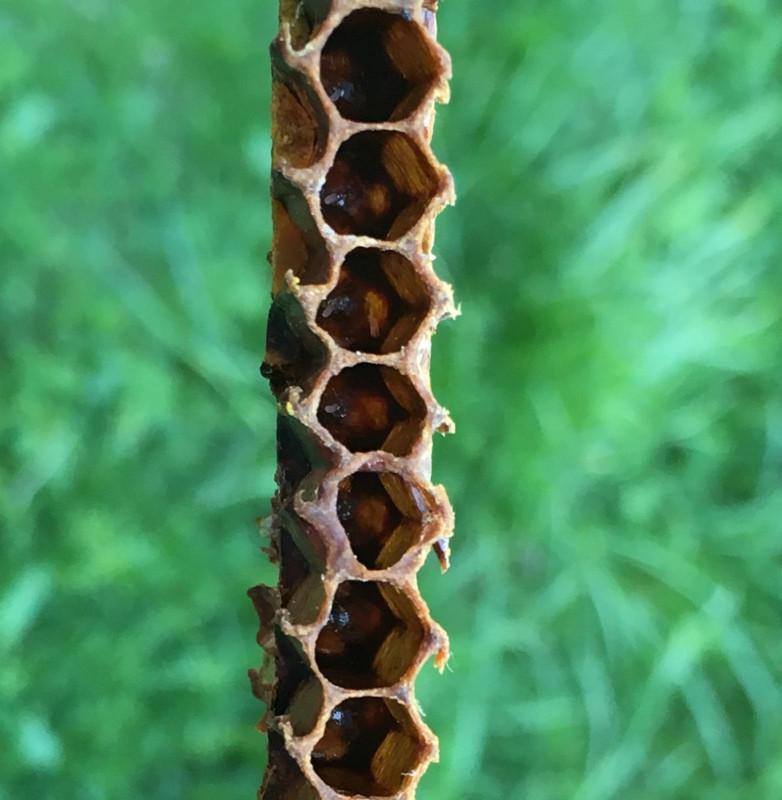 25599D0C-788B-447E-89F6-5DD47FA507BE