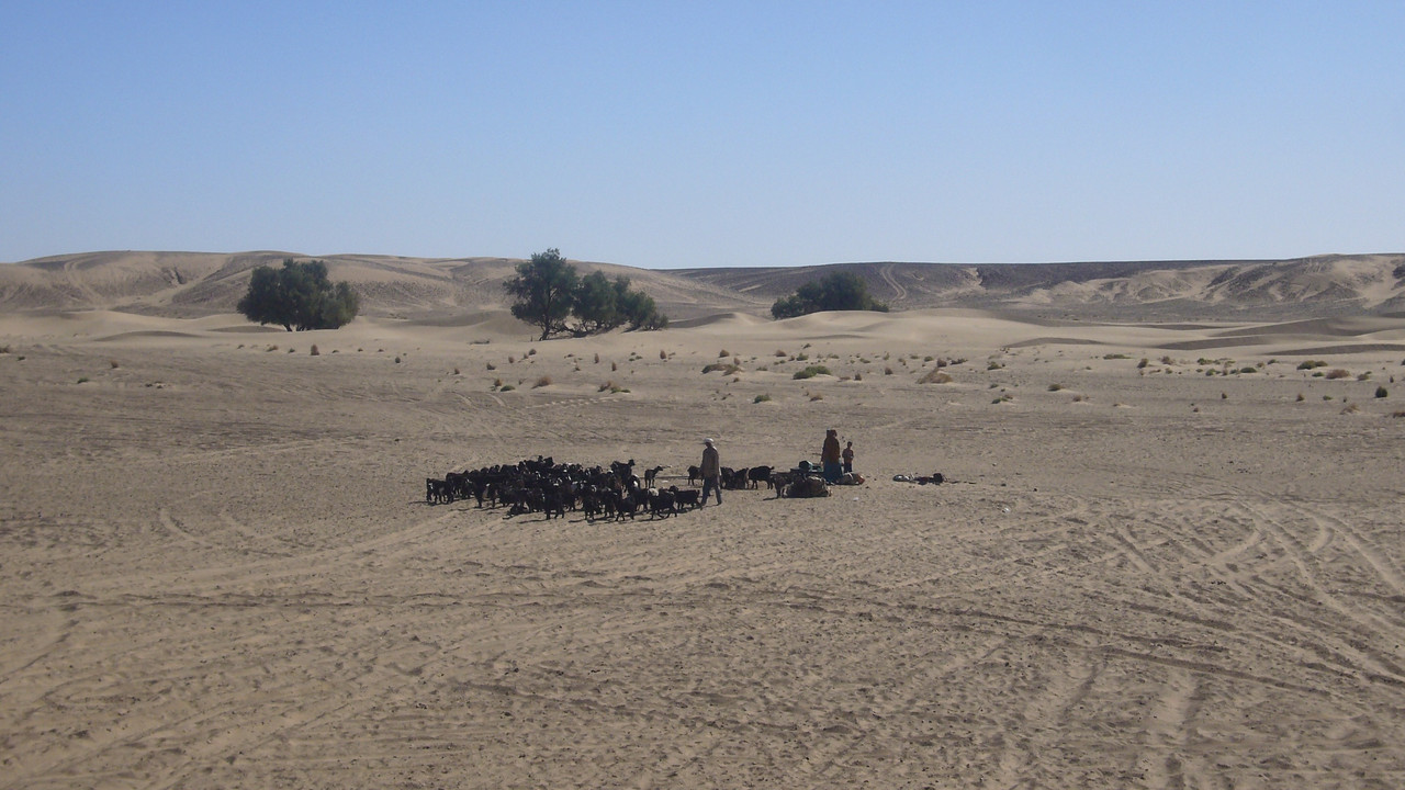 Mhamid el Ghizlane, en la frontera del Sáhara - El Valle del Drâa, la gran arteria del sur de Marruecos (15)