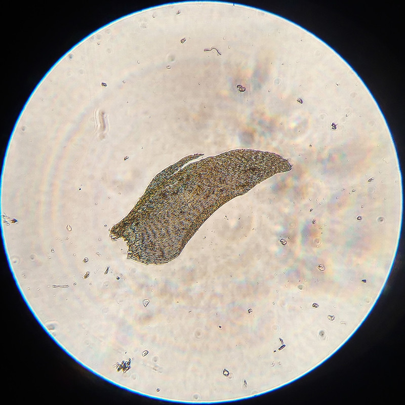 IMG 20250616 215708 HDR