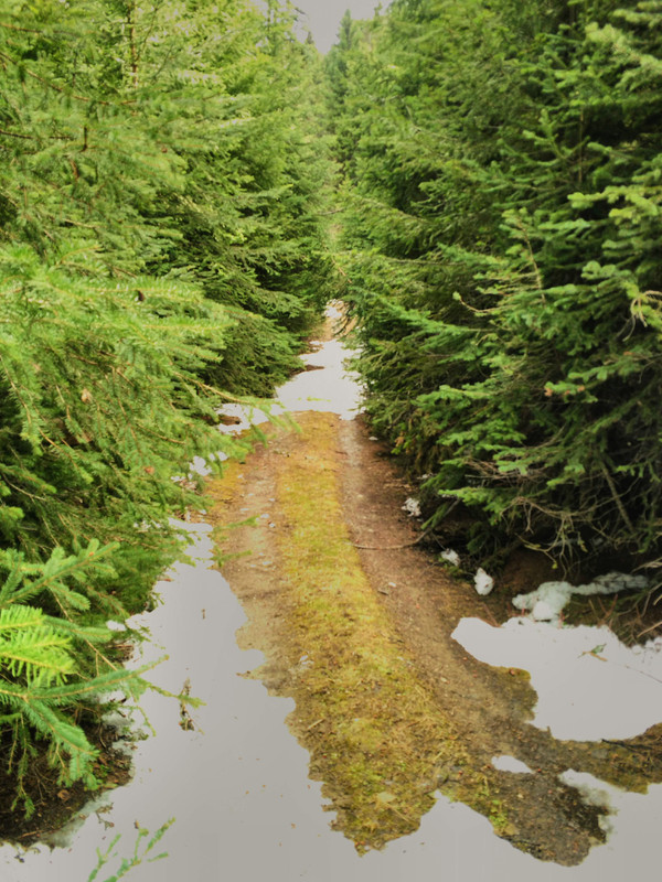 Easter 2019 Granite (41)