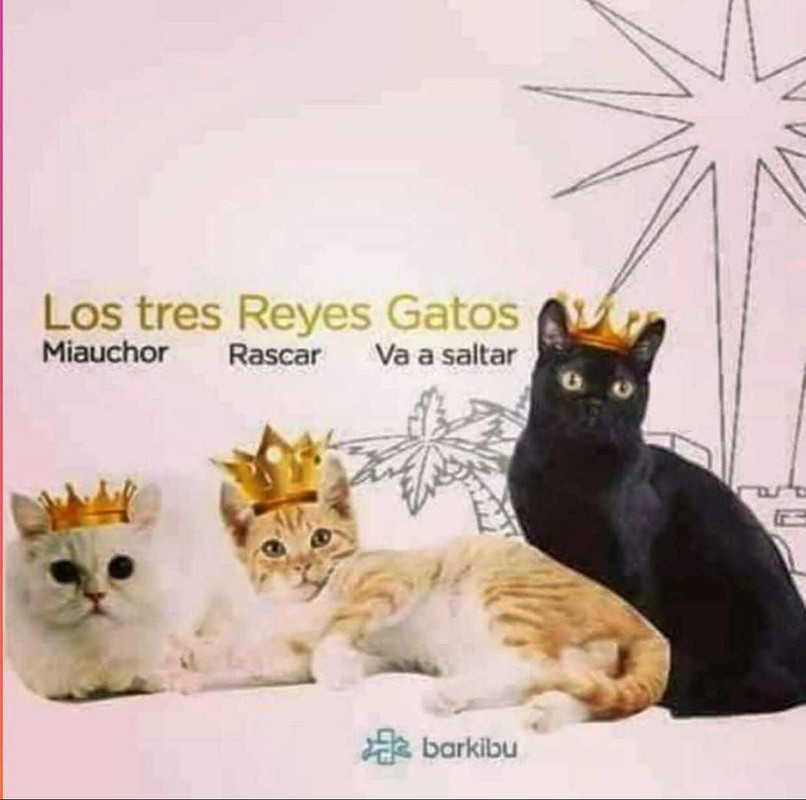 IMG_20210105_225740_126