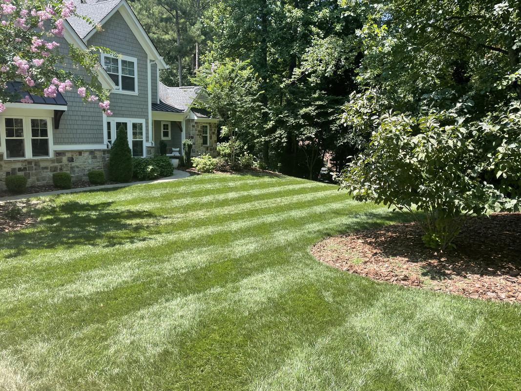 ADF4539F-F58E-4419-B10B-A63FF89B07A3