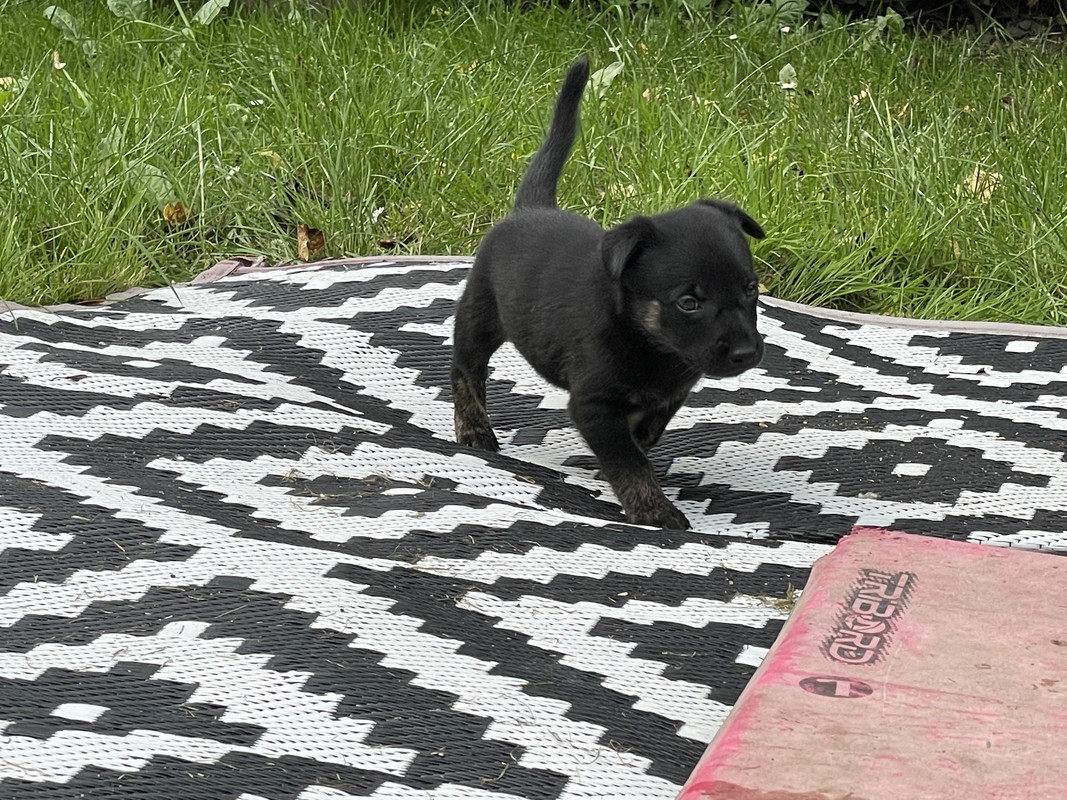 F9BE3C6A-78E4-45C5-A384-2838BB8A8C17