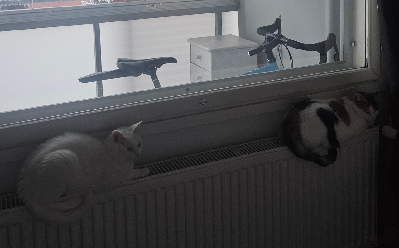 2e89b4f7 5be9 4b9e a81f 5ced1006dbee