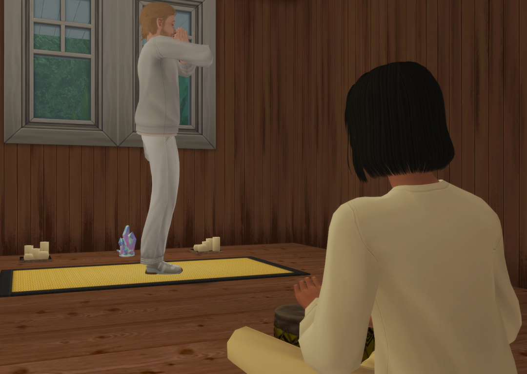 Sims2-EP9-RPC-2024-03-09-16-55-13-55