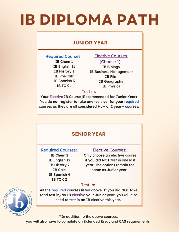 IB Diploma Pathway