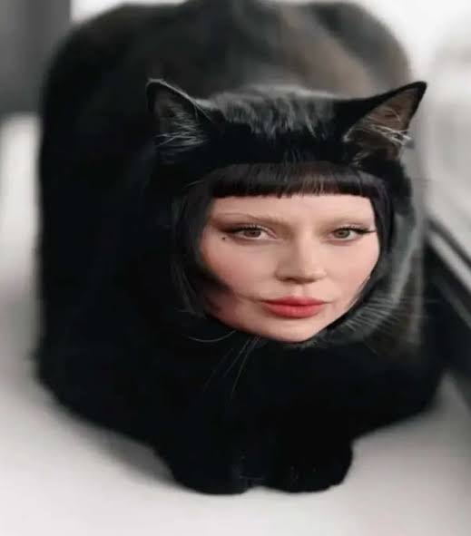 images.jpg