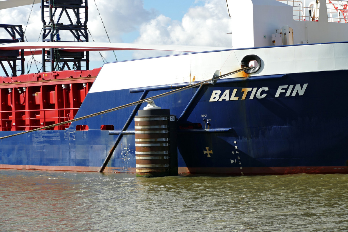 Baltic Fin - Schaden (OK-041024-0)