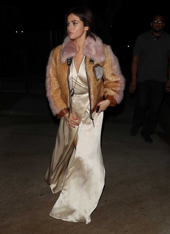 Selena-Gomez-Upskirt-58