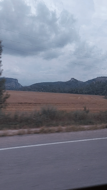 20210703-131942-1-1.gif