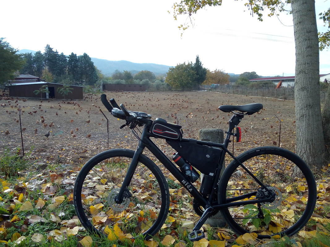 IMG-20201119-091001.jpg