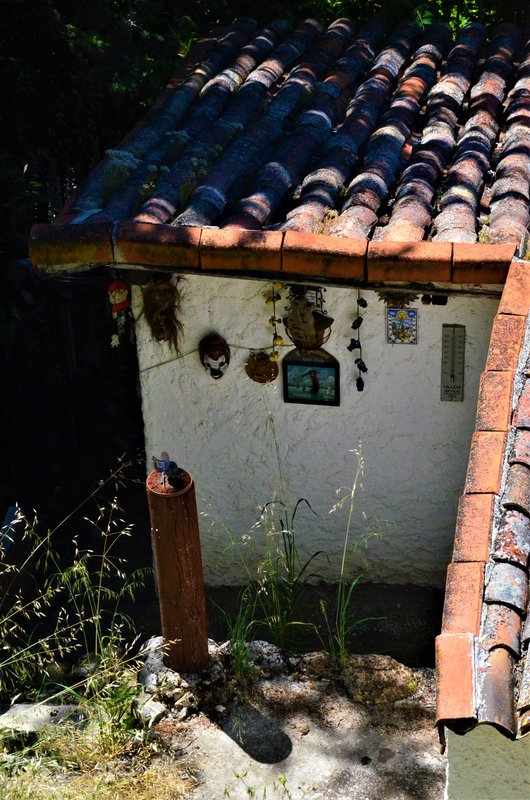 Madrid y sus pueblos-2000/2022 - Blogs of Spain - OLMEDA DE LAS FUENTES-5-6-2020 (48)