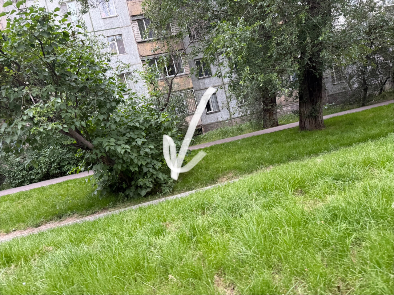 IMG 0866