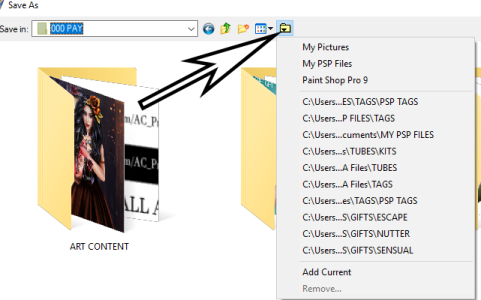 where do the my psp folder go for psp9 where do the my psp folder go for psp9