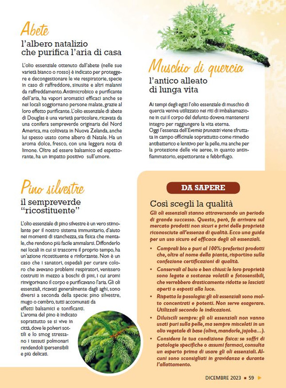 Sal Nat Dic 2023 (8)