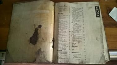 WP_20230220_11_38_53_Pro_LI (Copy)